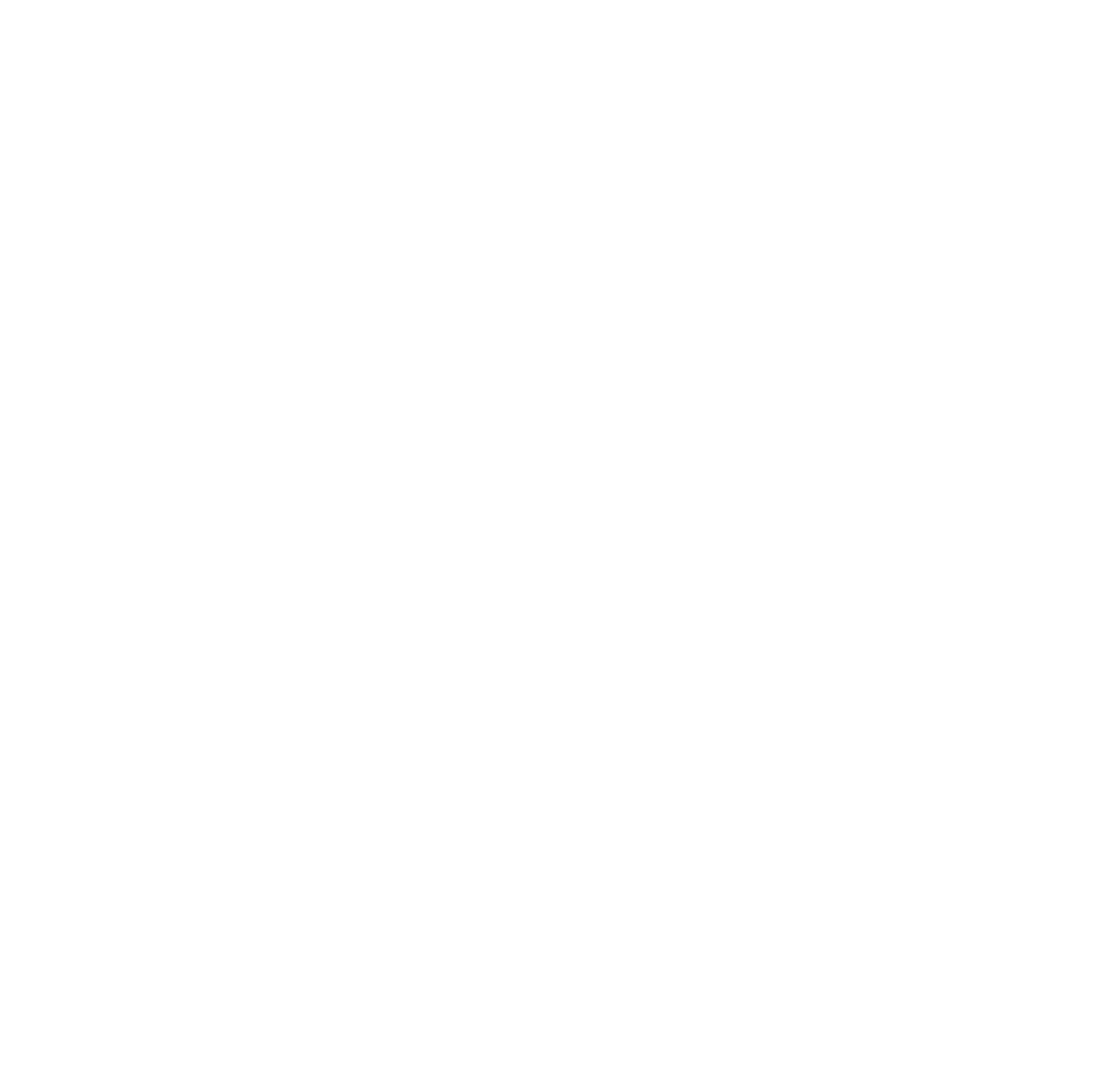 Dominion Lighting